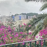 Great Carihuela *